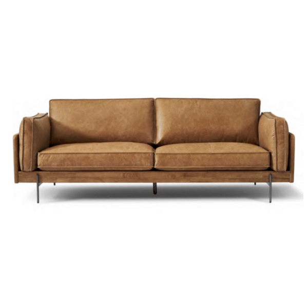 Voix Silencieuse- ATSM C1- 12