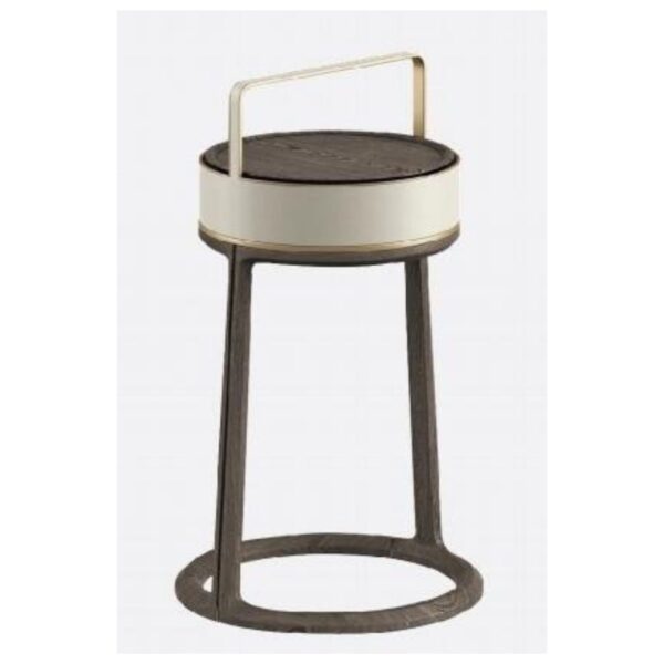 CARRY BOX WITH HANDLE- MZN C1- 89