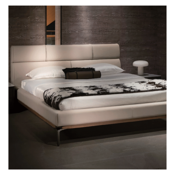 Luce Tardiva- BSH C2- 50