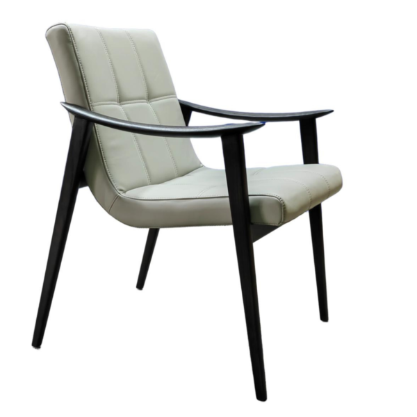 Aurelia Chair – DVS DC – 168