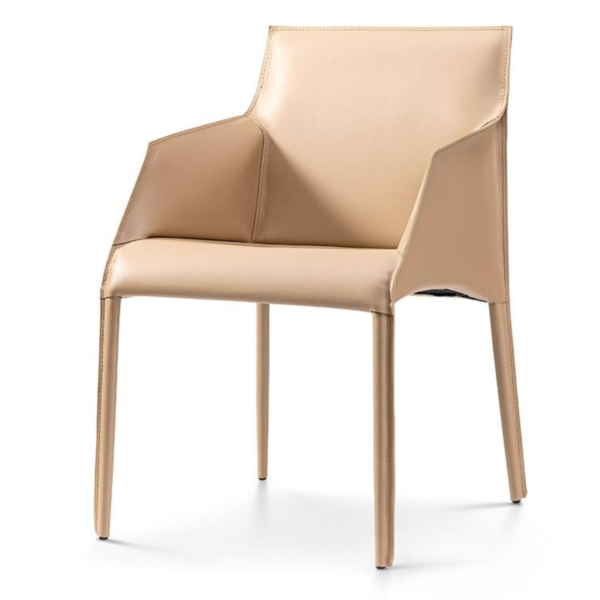Quintus Chair – DVS DC – 176