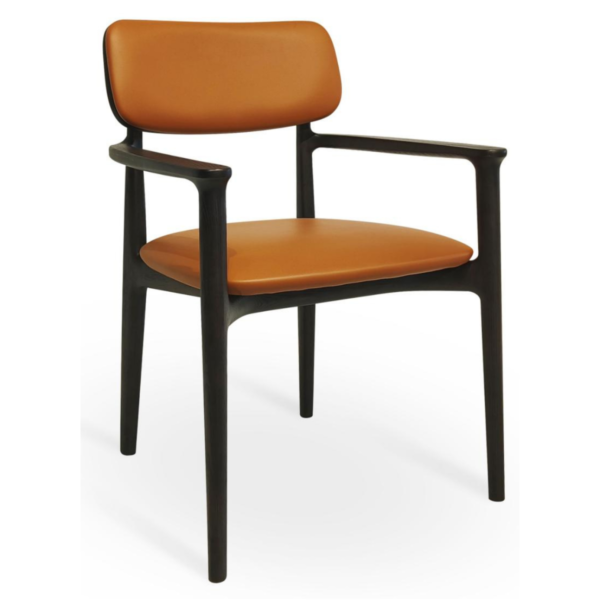 Brycen Chair – DVS DC – 180