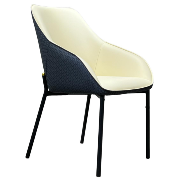 Faelos Chair – DVS DC – 171