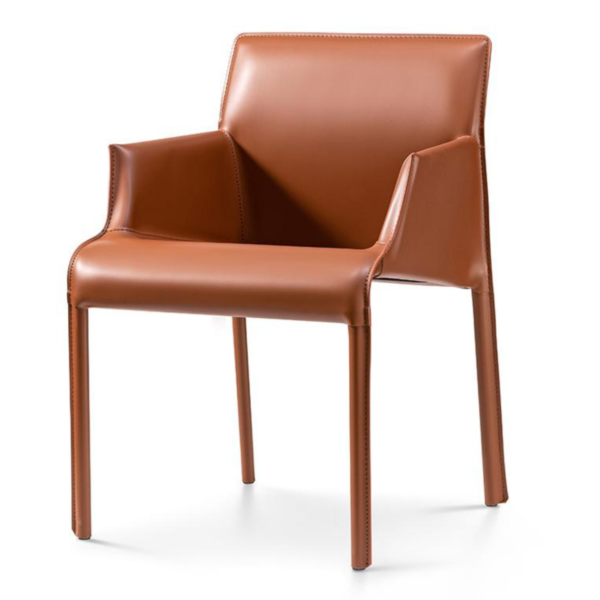 Phaeron Chair – DVS DC – 174